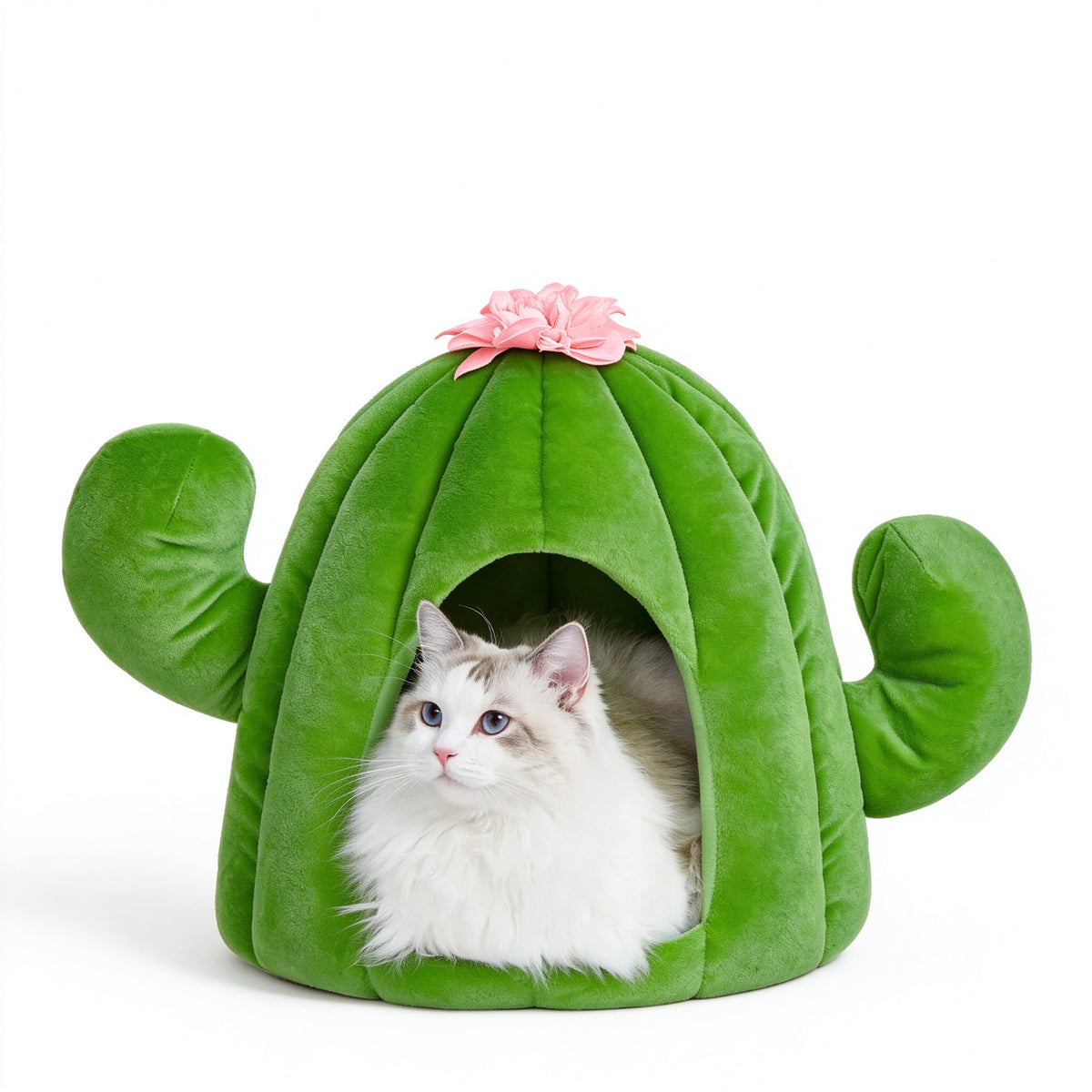 A fluffy white and gray cat sits inside a green cactus-shaped plush pet bed with a pink flower on top, photographed on a clean white background.