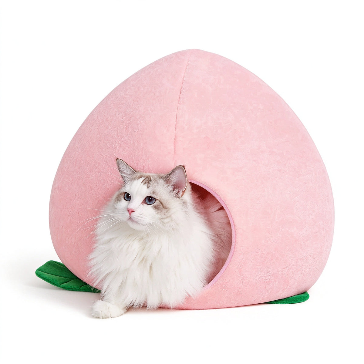 A fluffy white and gray cat sits inside a pink peach-shaped pet bed with green leaf accents on a clean white background.