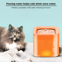 Petkit Eversweet Solo Pet Dog Cat Smart Water Dispenser Drinking Fountain feeder Bowl Ultra-Silent