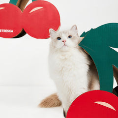 Vetreska Cat Kitten Scratcher Climbing Scratching Board Gym Cherry