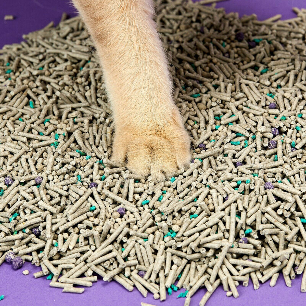 PETKIT 5-in-1 Biodegradable & Flushable Active Carbon Mixed Tofu Cat Litter 56L