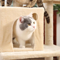145cm Cat Tree Tower Scratching Post Scratcher Toys Wooden Condo House Cats Bed - Beige