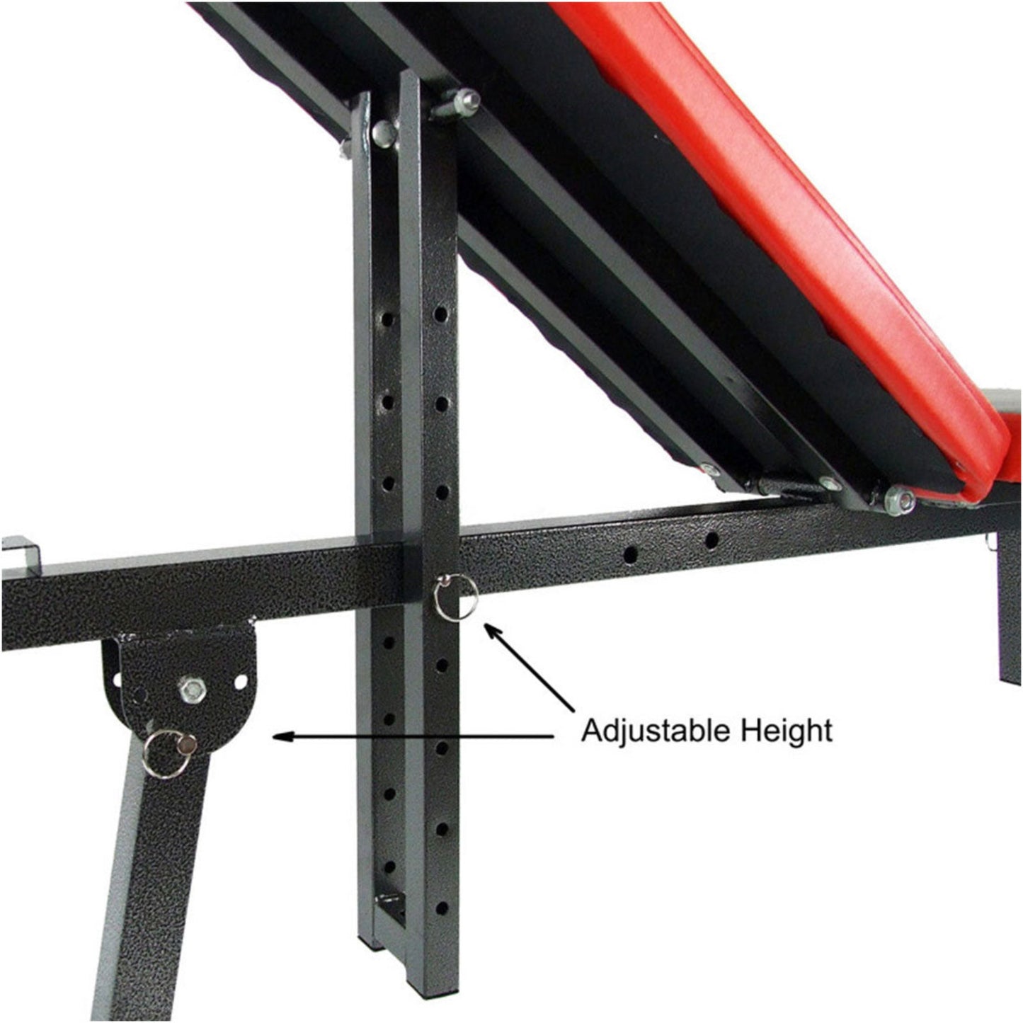 Black weight bench with red padding, showing adjustable height feature.