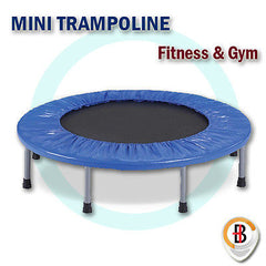 [Outdoor Living], [Pets], [Kids Toy] - Bargene