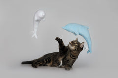 Pidan Cat Kitty Pet Dolphin Toy