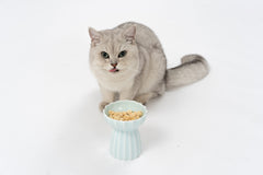 Pidan Ceramic Cat Bowl