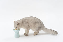 Pidan Ceramic Cat Bowl