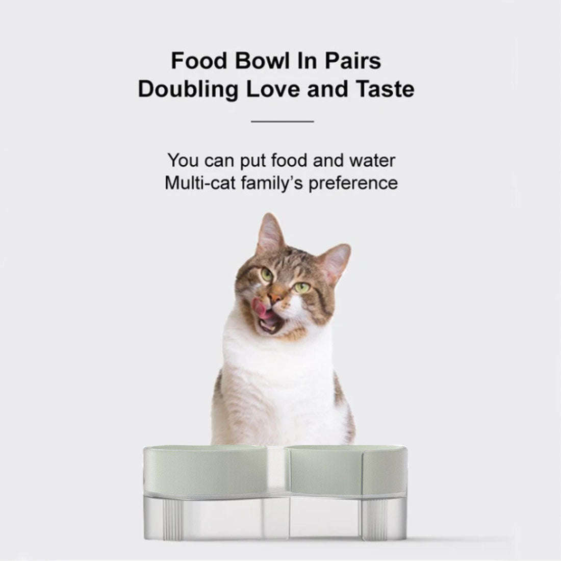 Pidan Elevated Cat Dog Double Dual Feeding Raised Bowls Bowl Set Tilted Stand - green