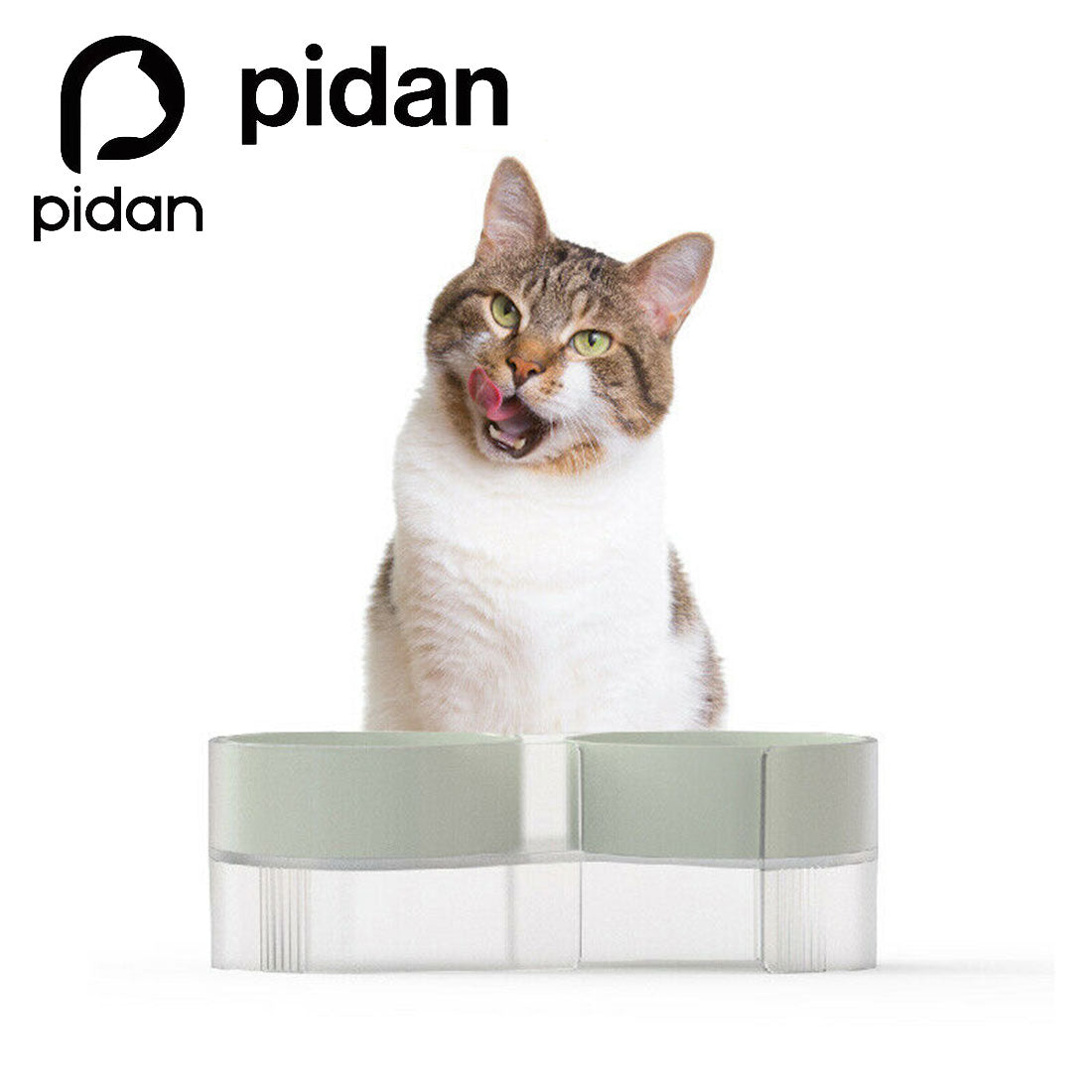 Pidan Elevated Cat Dog Double Dual Feeding Raised Bowls Bowl Set Tilte