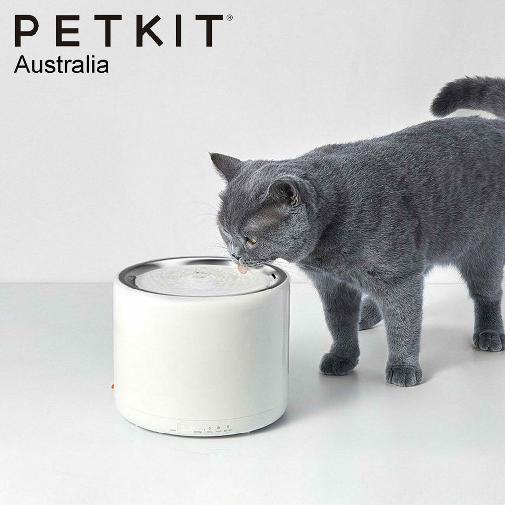 Cat sales fountain australia