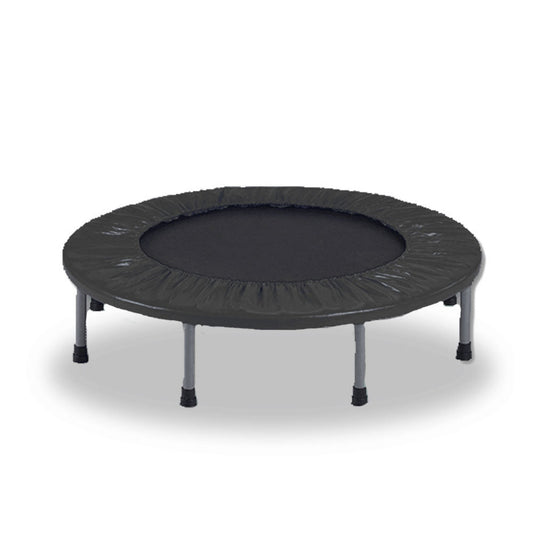 [Outdoor Living], [Pets], [Kids Toy] - Bargene