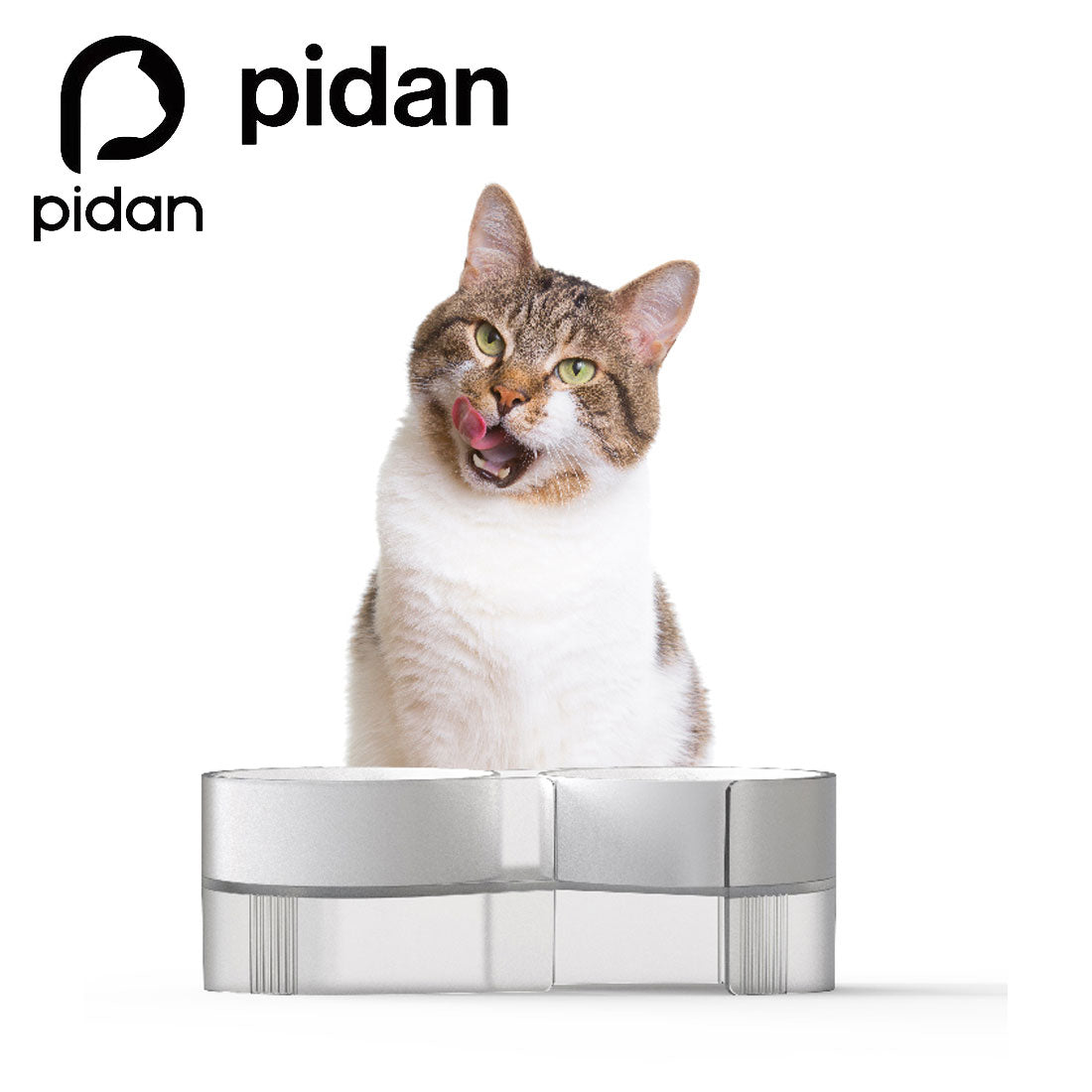 Pidan Elevated Cat Dog Double Dual Feeding Raised Bowls Bowl Set Tilted Stand